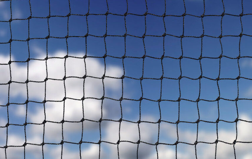 Kuş Ağı Faydaları