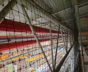 Kuş ağı uygulaması