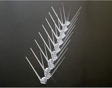 Kuş Kondurmaz Diken